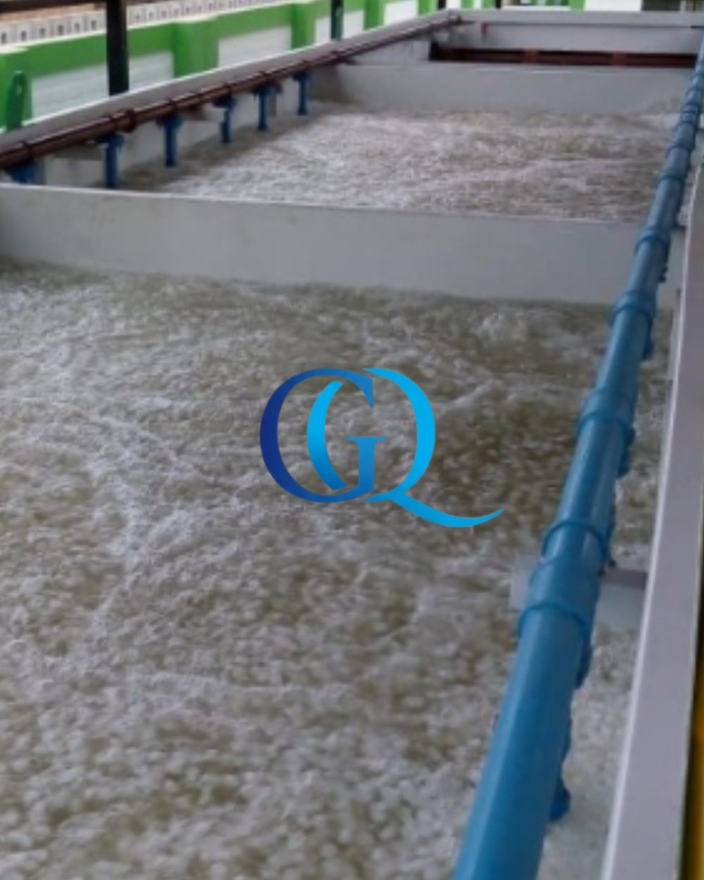 Medios MBBR en movimiento dentro de un reactor biológico aireado